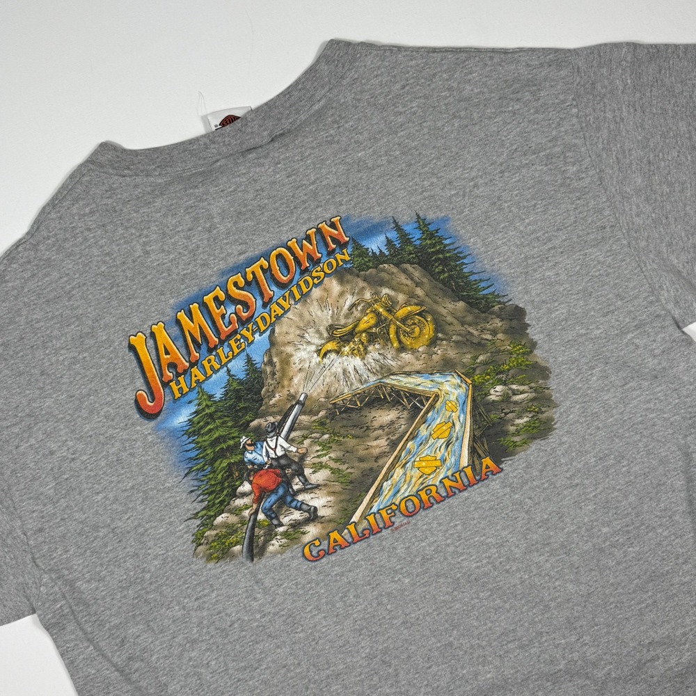 Harley Davidson Jamestown California Henley Shirt Mens XL Gray Long Sleeve 2004